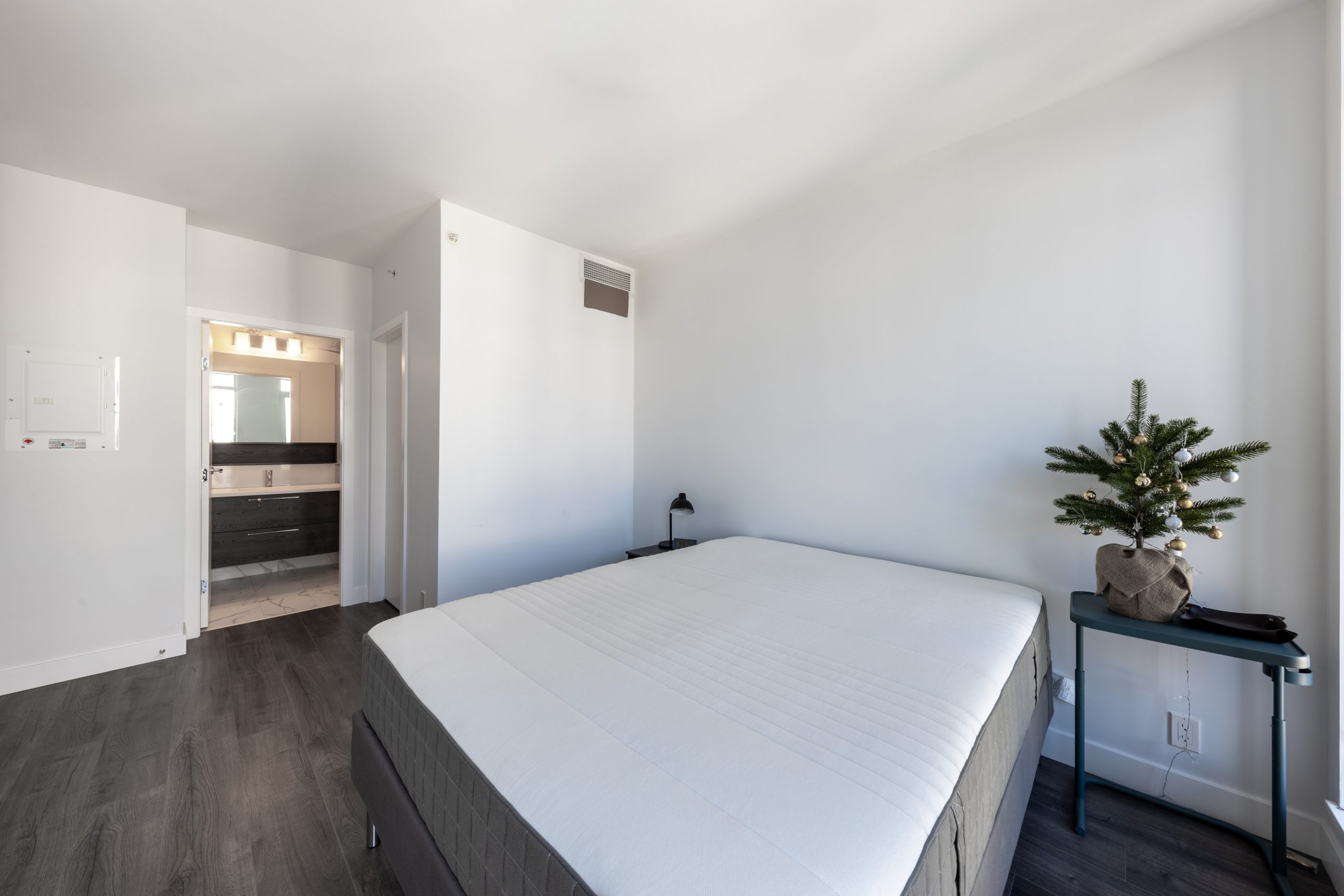 3703 4458 BERESFORD STREET, BURNABY 17